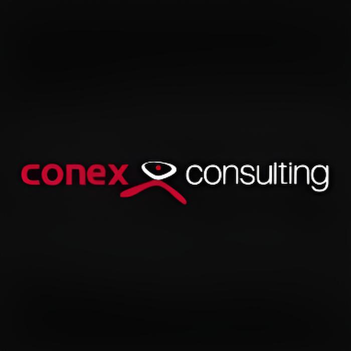 Logo de Conex Consulting S.A.S.